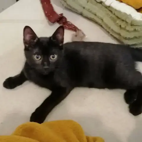 Luna