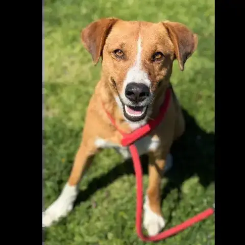 Milo