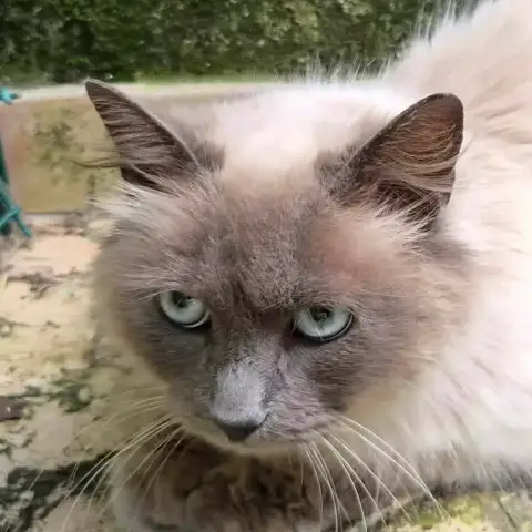 Bella photo 2
