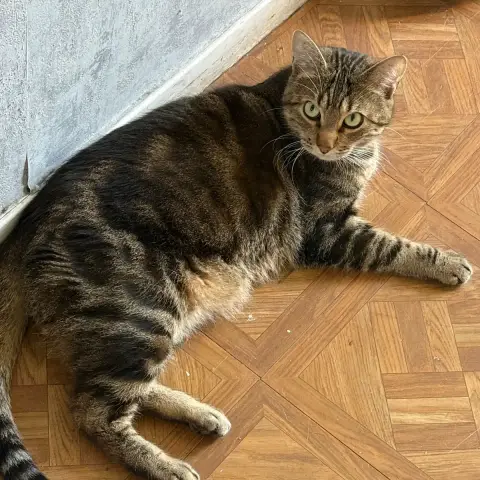 Marley photo 3