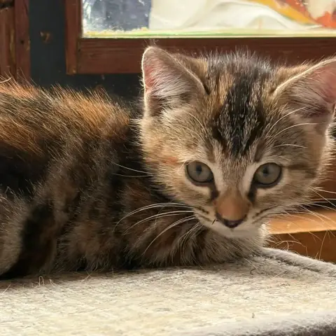 Luna