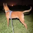 Thor photo 2