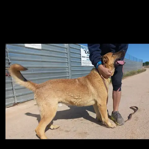 Toby photo 3