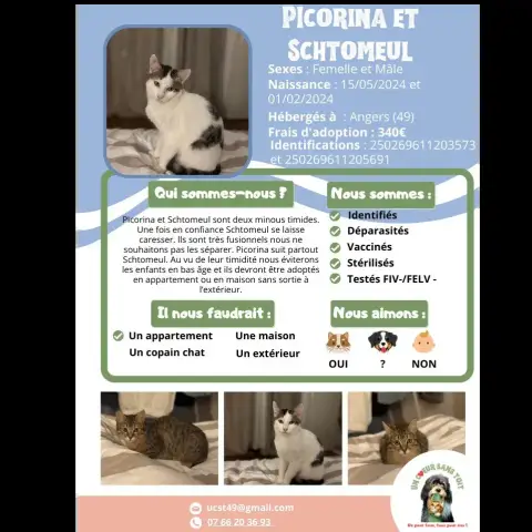 Picorima Et Schomeul