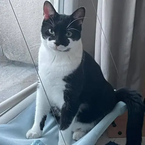 Charly