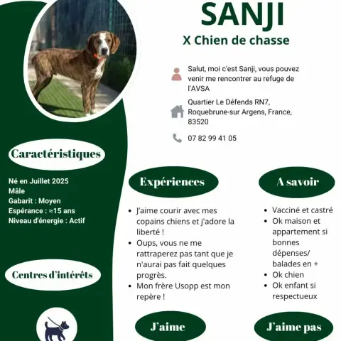 Sanji photo 2