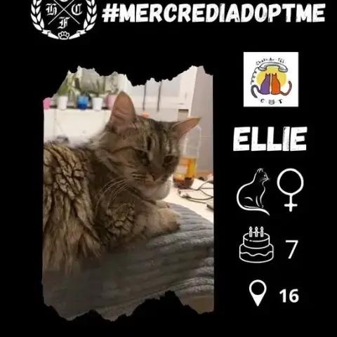 Ellie
