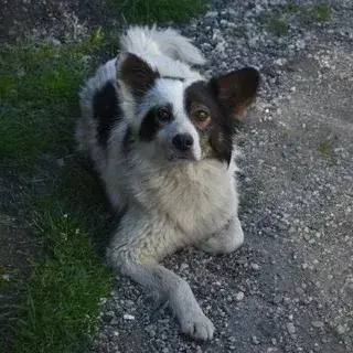 Titou photo 3