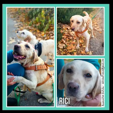 Rici
