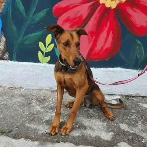 Zeus photo 2