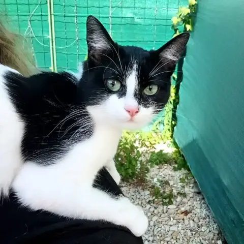 Yumi