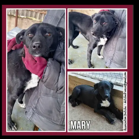 Mary