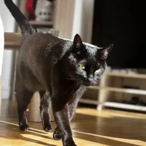 Roger