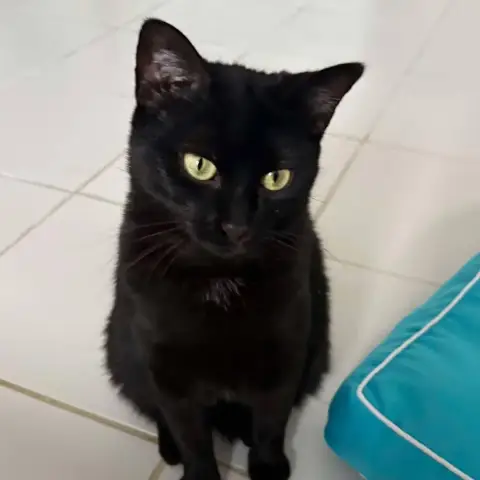 Mademoiselle