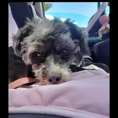 Coco photo 2
