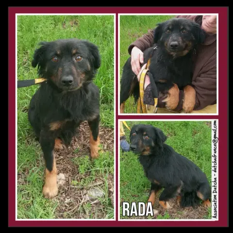 Rada
