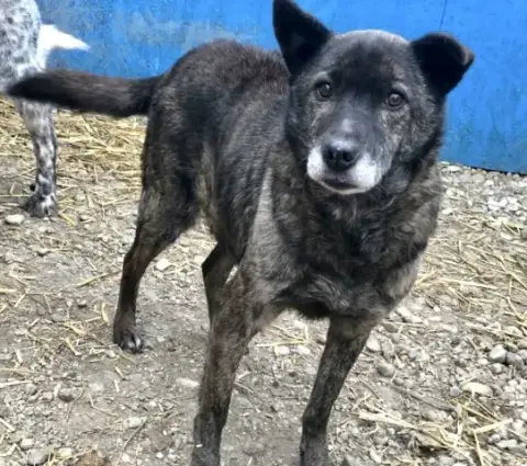 Maxx