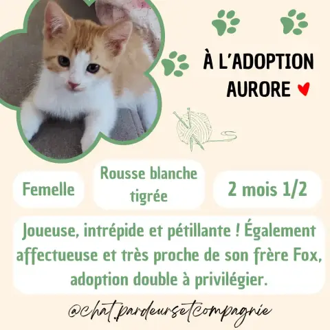 Aurore