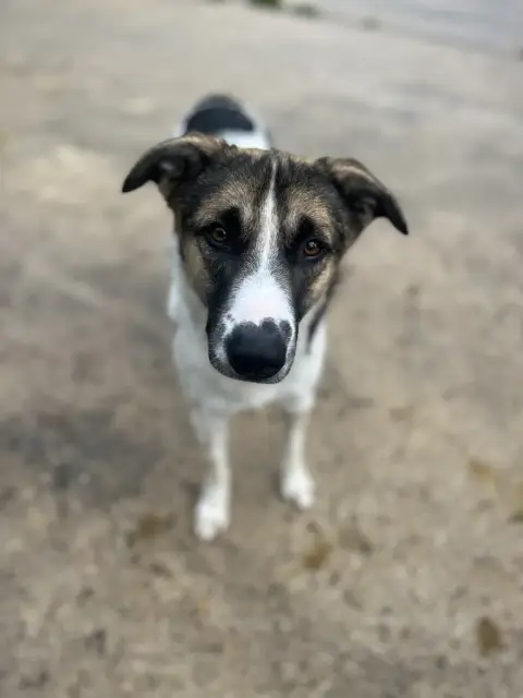 Gerald photo 3