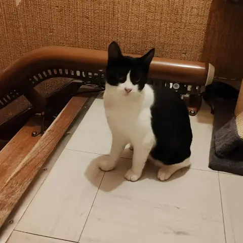 Olgato En Accueil Chez Nathalie