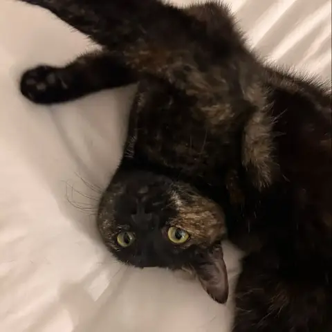 Myla