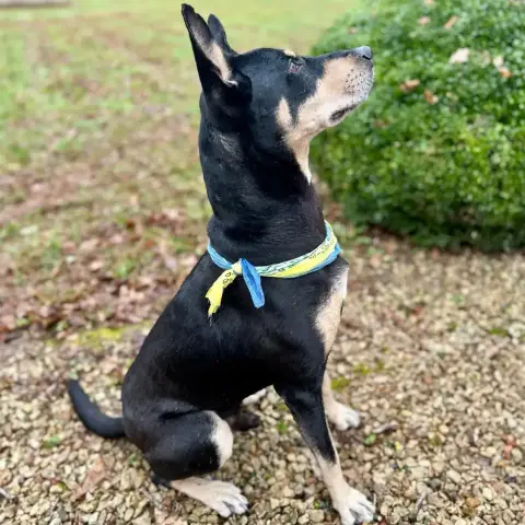 Oscar photo 2