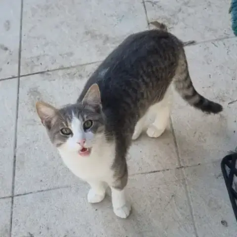 César photo 2