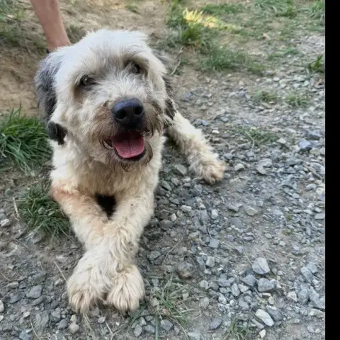 Lhalco photo 3