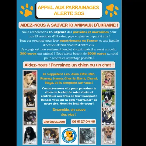 Barni-Urgent! photo 3