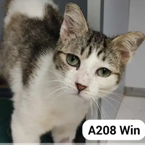 Win
