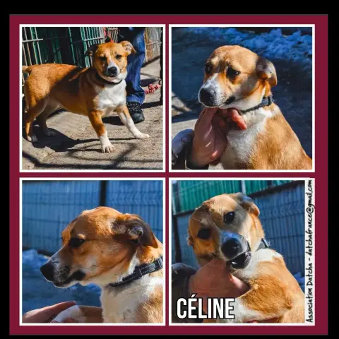 Céline