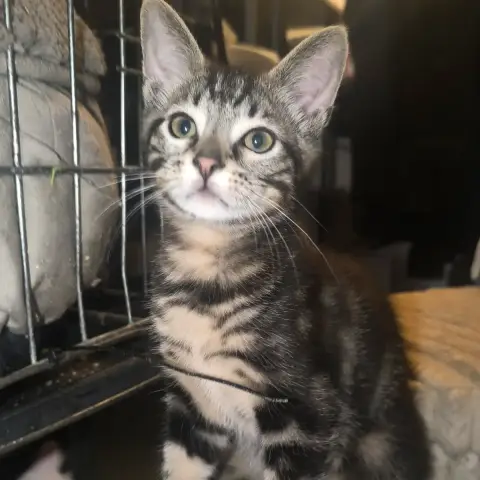 Tokyo photo 2