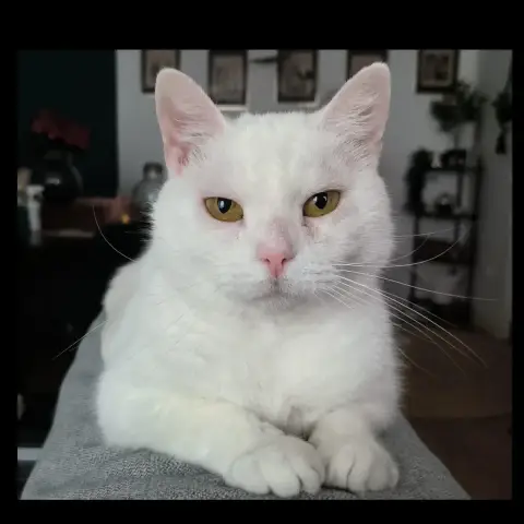 Bianca photo 3