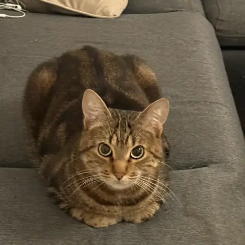 Marley