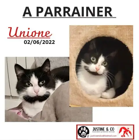 Unione photo 2