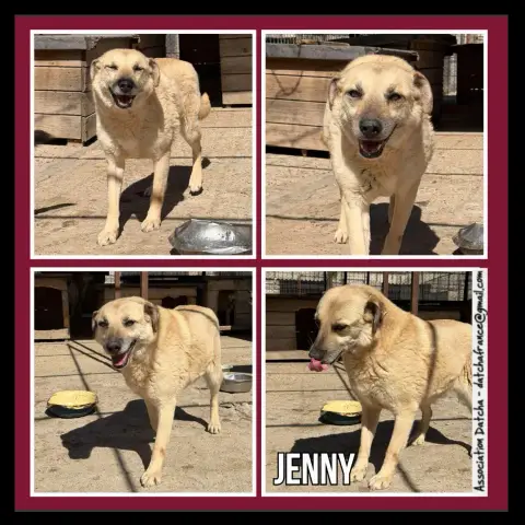 Jenny