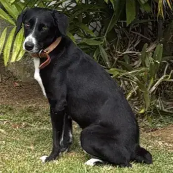 Tiana photo 3