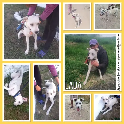 Lada