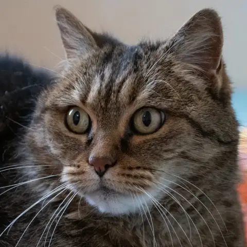 Luna photo 3
