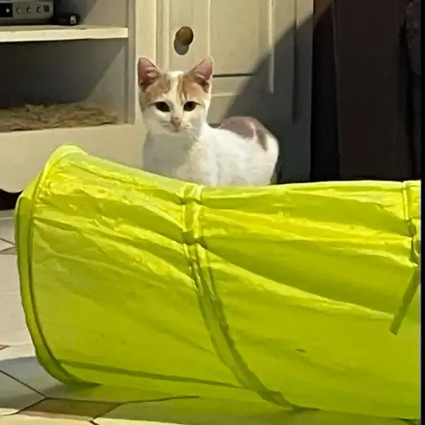 Caramel