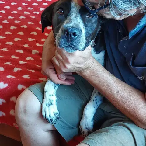 Pépite