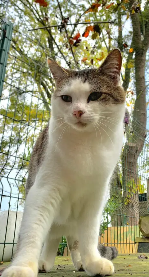 Sid