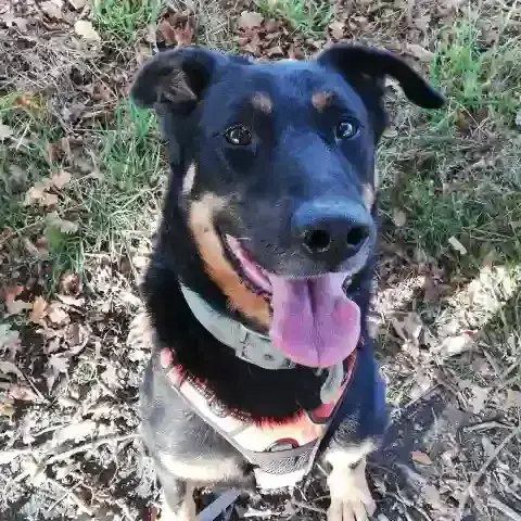 Max