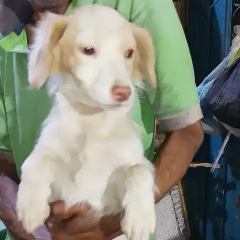 Haiti photo 2