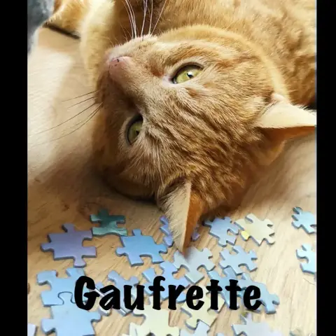 Gaufrette