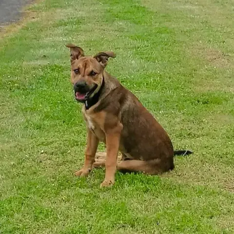 Ragnar