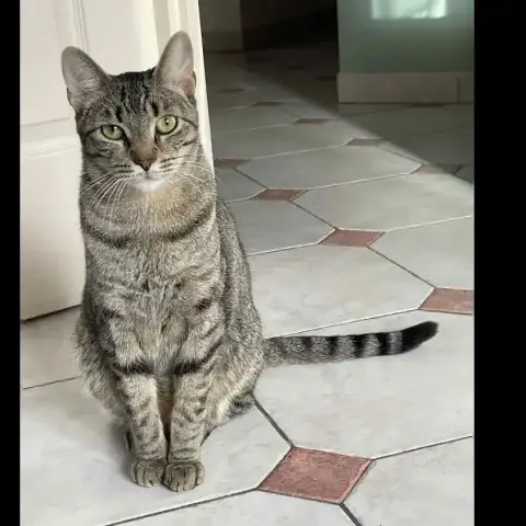 Marco