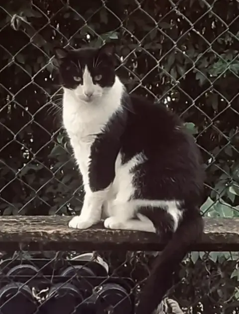 Flynn photo 2
