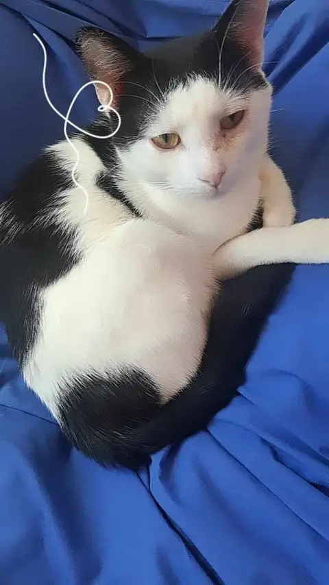 Yuki