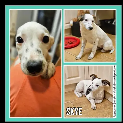Skye